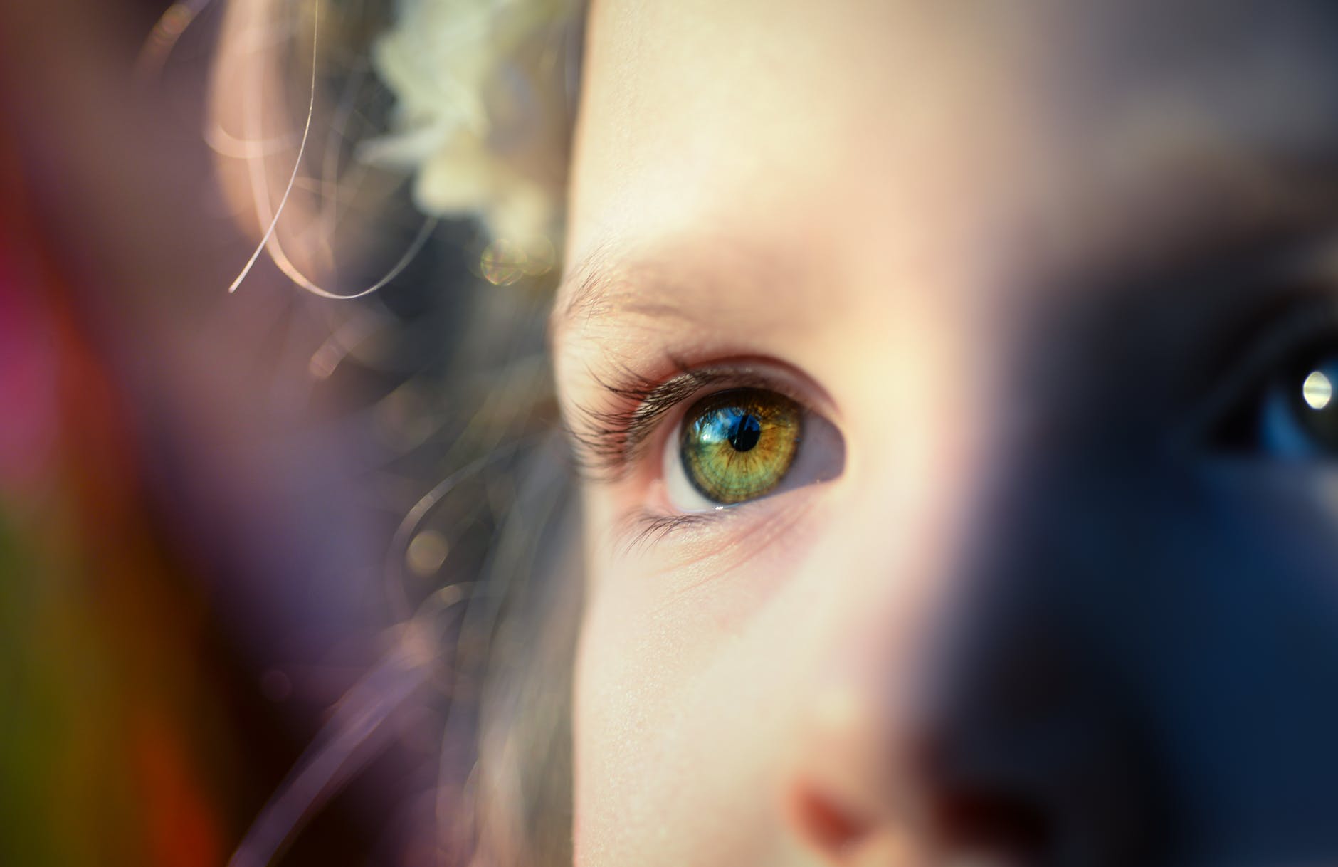 close up portrait of human eye